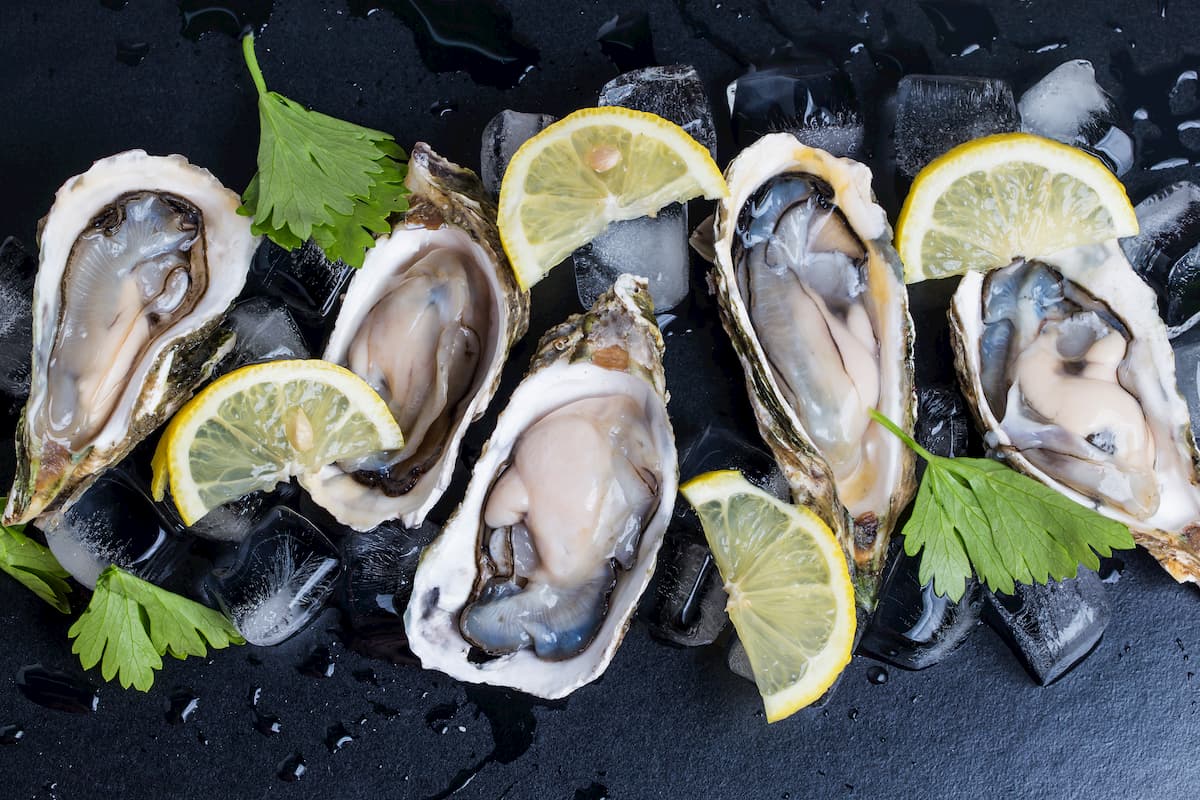 Distribuidores y proveedores de productos de alimentación gourmet - Ostrea Sur