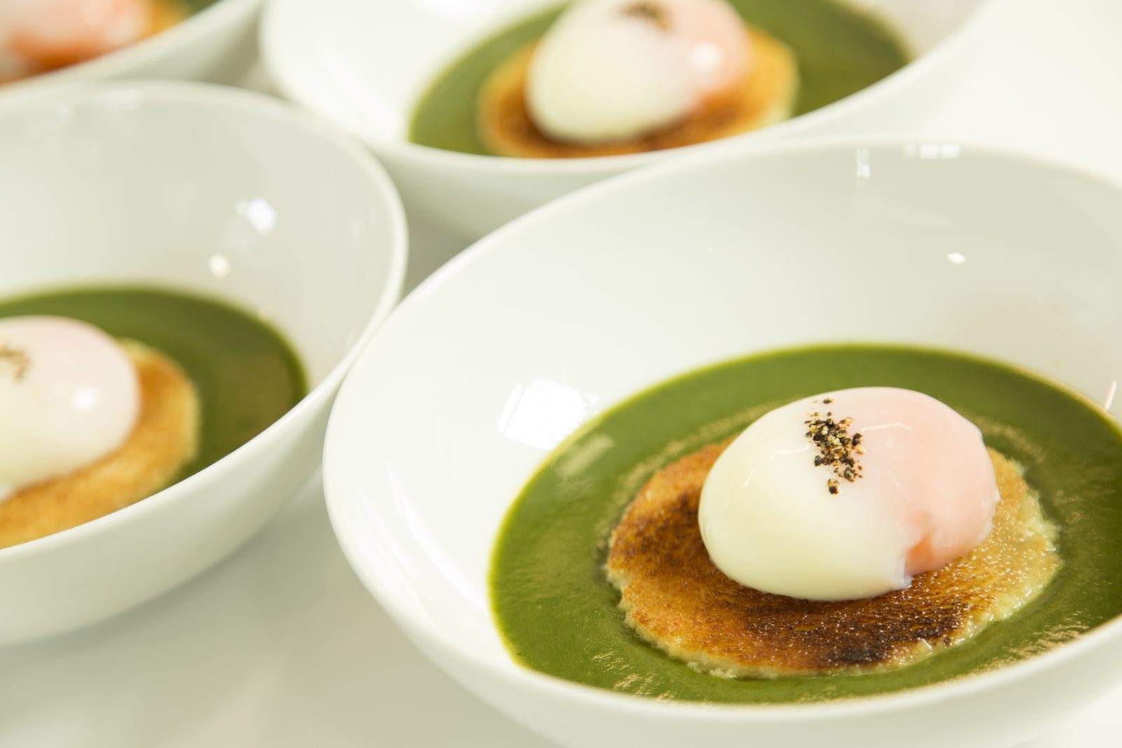 Distribuidores de productos Gourmet - Ostrea Sur