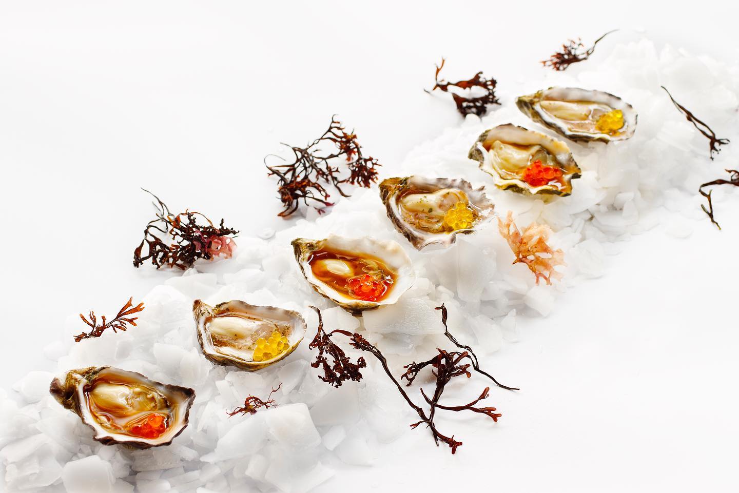 Distribuidores de Ostras, mariscos y pescados - Ostrea Sur